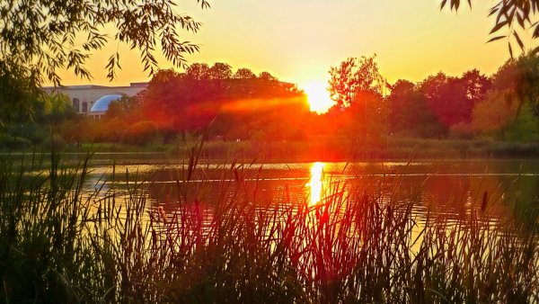 Фото ушедшие дни