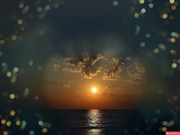 Зимнее солнцестояние