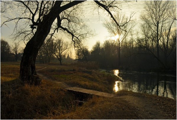 Мужчина уходит вдаль