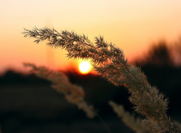 Последние летние деньки