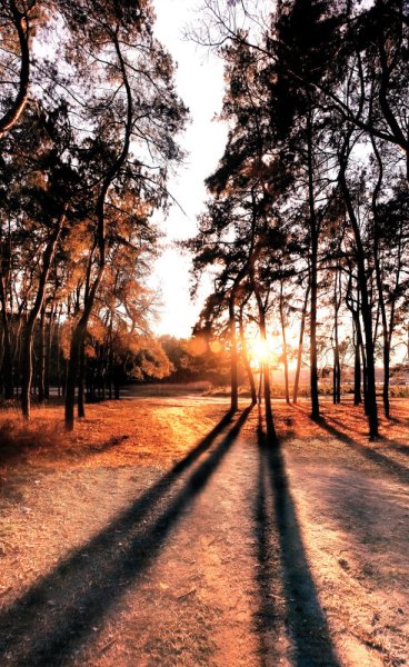 Цитаты про время