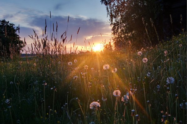 Открытки с уходящим летом