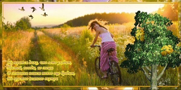 Солнце на дороге