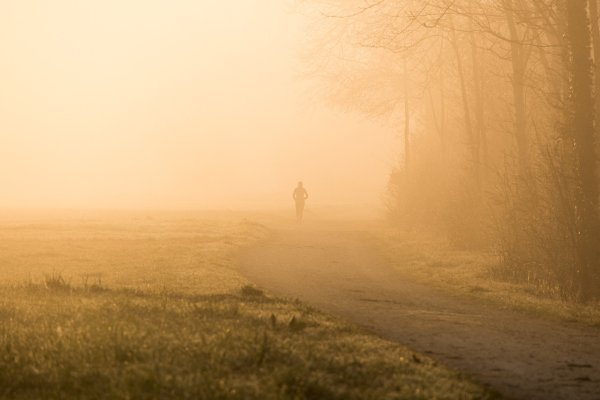 Прогулка на природе