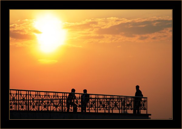 Кот в снегу