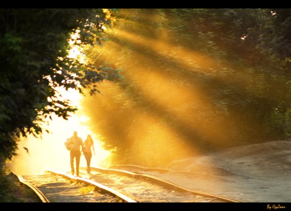 Уходящая жизнь