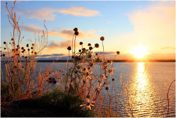 Уходящий Странник