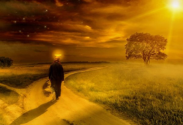 Девушка в тумане арт