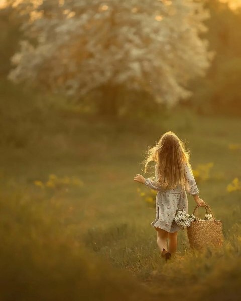 Странник идет по дороге