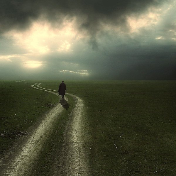 Лето нам тепло дарило,