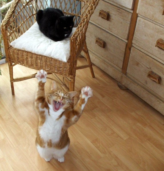 С первым днем весны прикольные