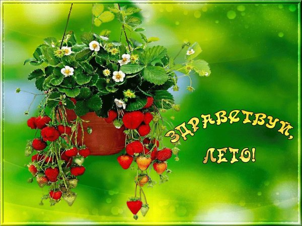 Пожелания на первое апреля