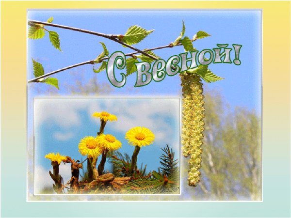 Кот пришел домой