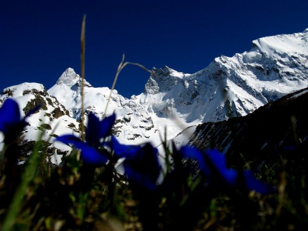 11 Декабря горы