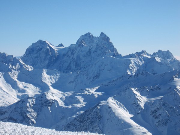 Кавкасиони ужба