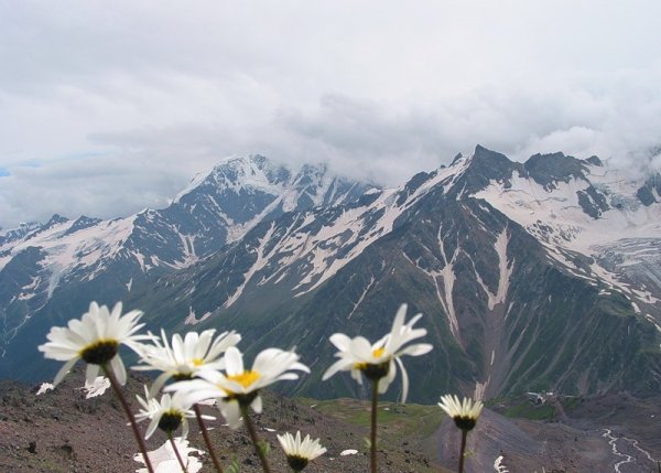 Международный день гор рисунок