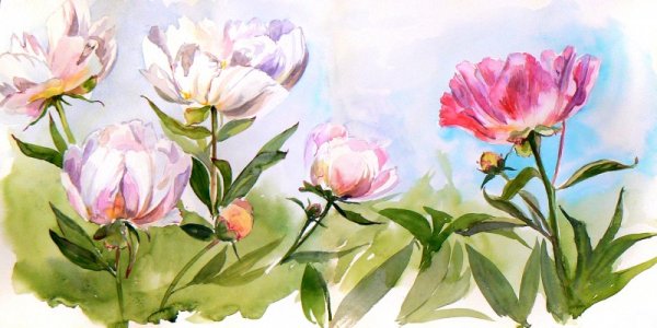 Аннет Логинова художник цветы