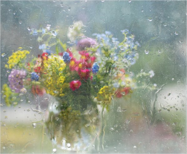 Акварель праздничная