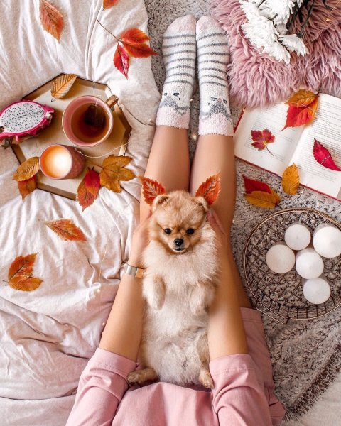 Доброе утро гламурные