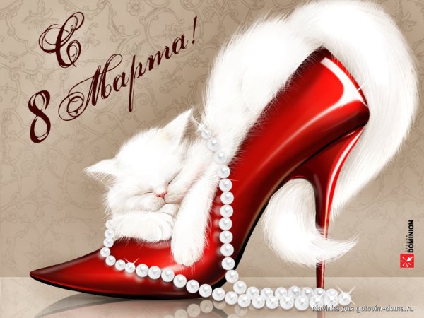 Котик в туфельке