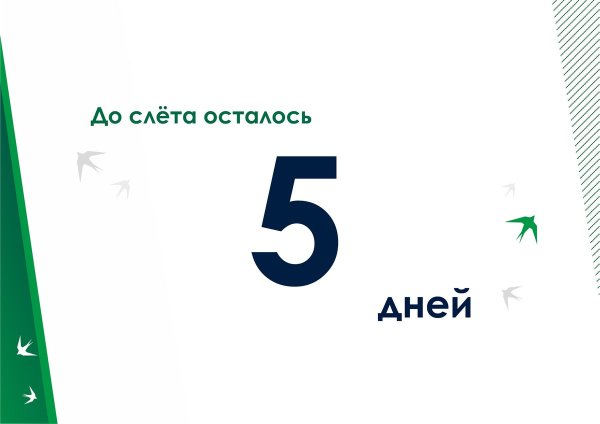 Надпись сутки