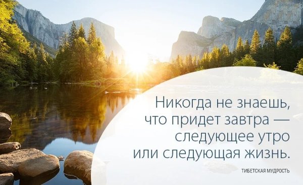 Цитаты про утро