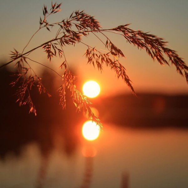 Красивые стихи о добром вечере