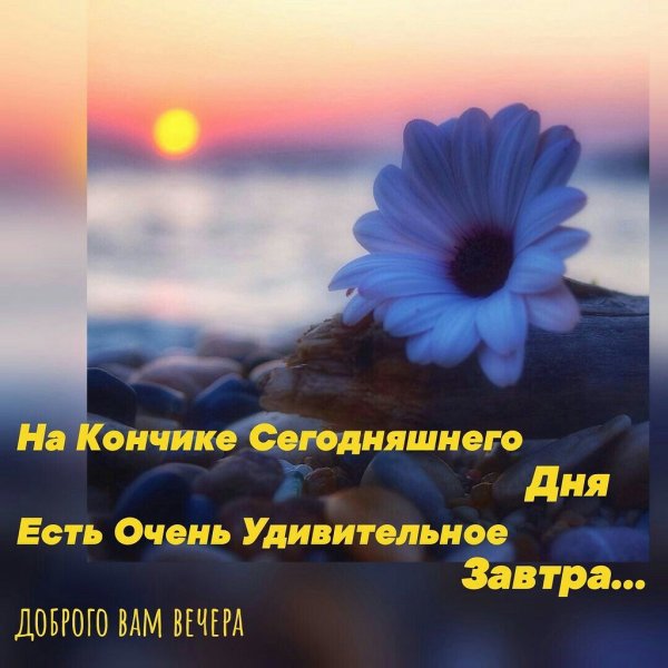 Завтра новый день