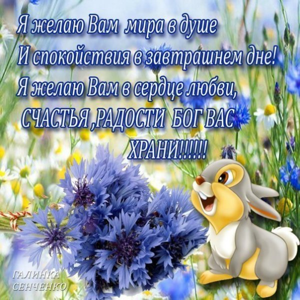 Пожелания добра и спокойствия