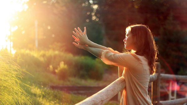 Солнце радость красота