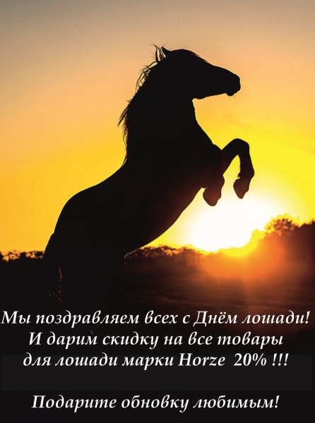 С днём рождения мужчине с лошадьми