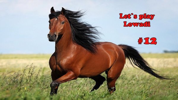 31 Августа Флор и лавр лошадиный праздник