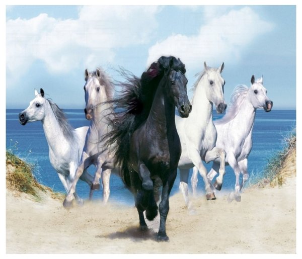 Открытки с днём рождения с лошадками