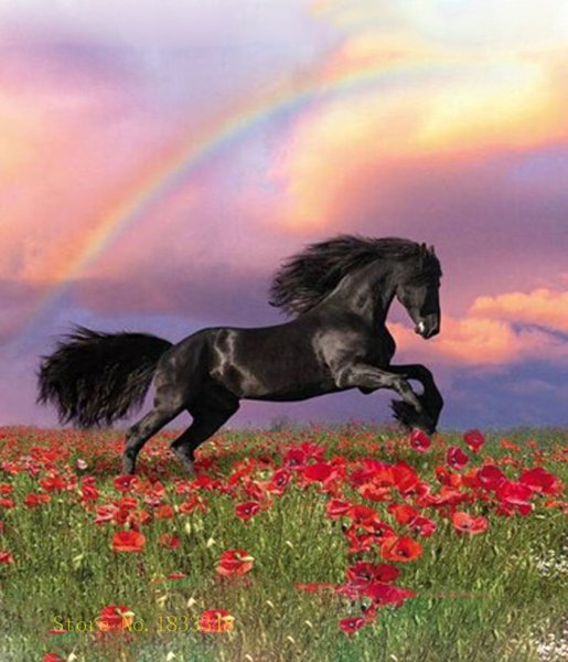 Красивые кони в поле