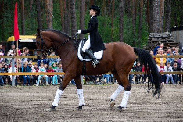 Лошадиный праздник 31 августа