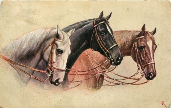 Открытки с изображением лошадей