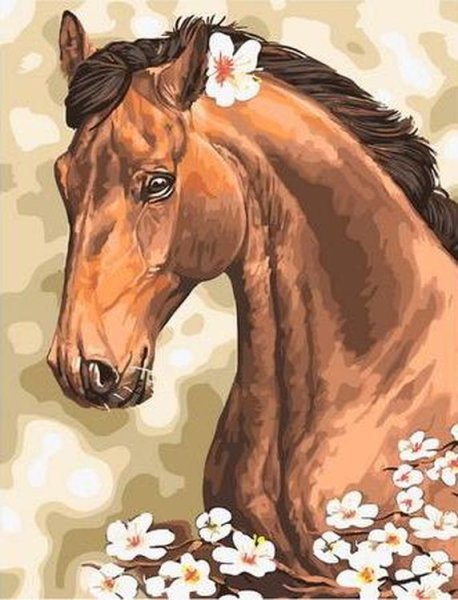 Открытки с лошадьми