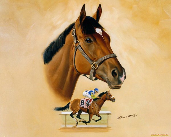 Энтони Алонсо лошади