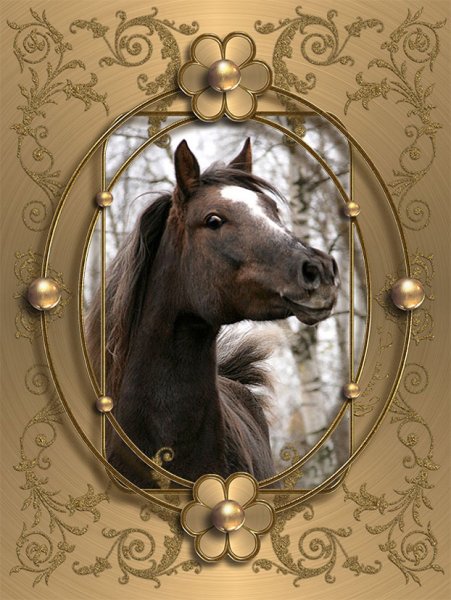 Рамка с лошадьми