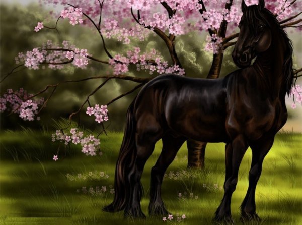 Открытки с лошадьми