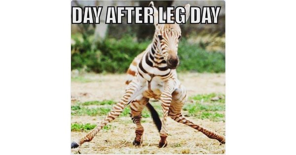 Пропускаю тренировку рисунок