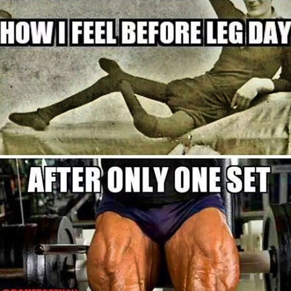 Качки смешные рисунки