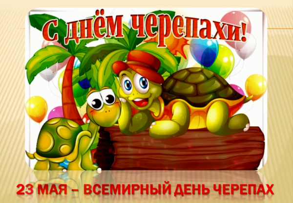 День черепахи 23 мая