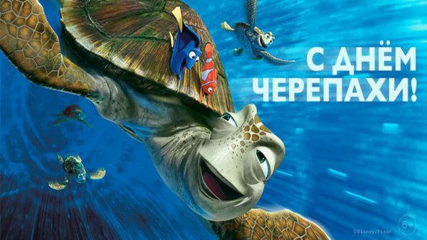 Всемирный день черепах