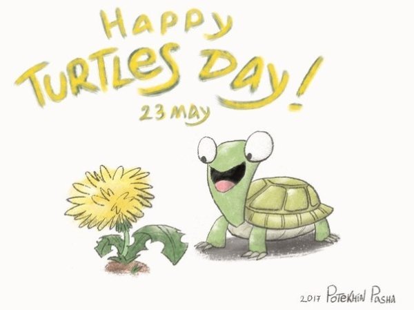День черепах