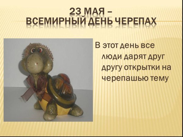 Китайская коробчатая черепаха