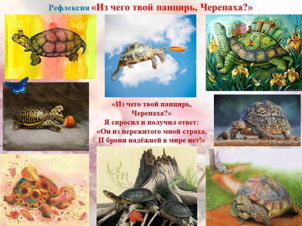 День черепахи