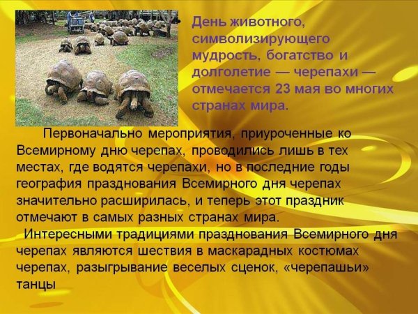 Всемирный день черепахи 2021