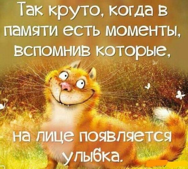 Позитивные афоризмы