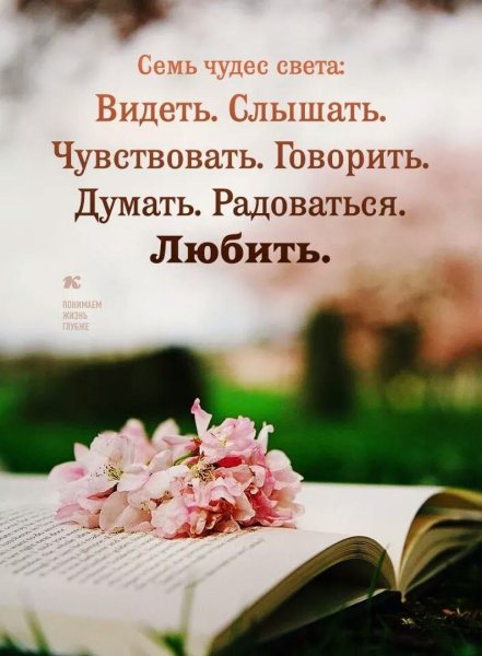 Красивые высказывания с добрым утром